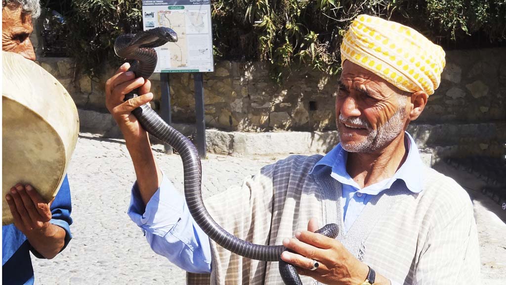 Snake charmer in Tangier, Morocco