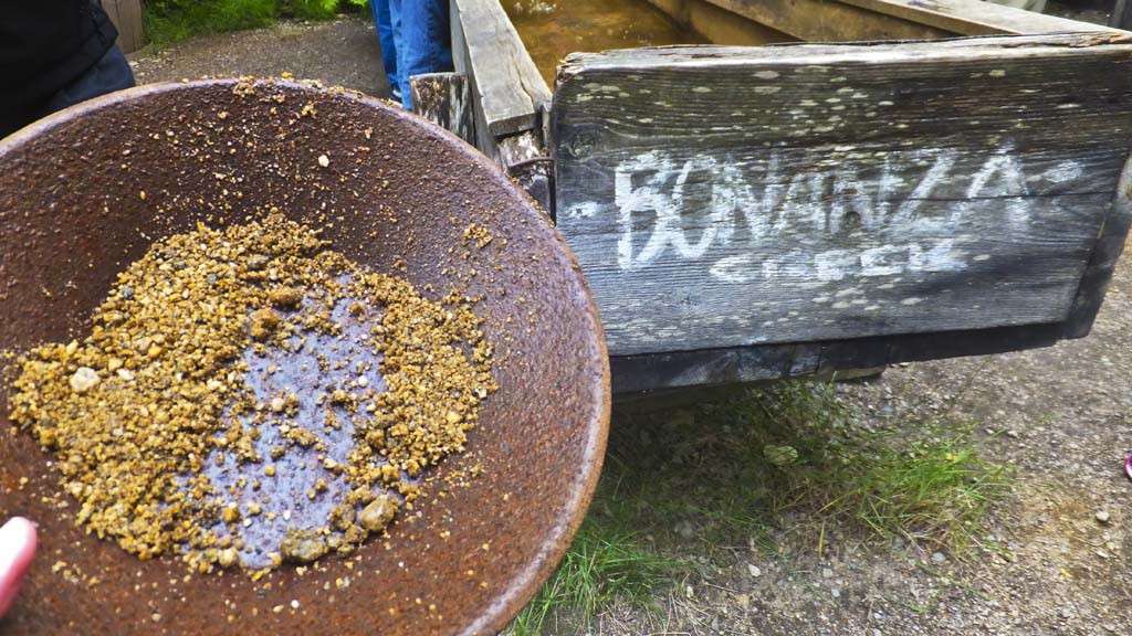 Gold panning in Alaska