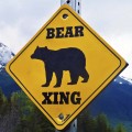 Bear crossing sign in Alaska