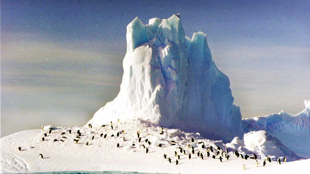 Penguins on iceberg in Antarctica