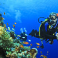 Scuba diving on Royal Caribbean