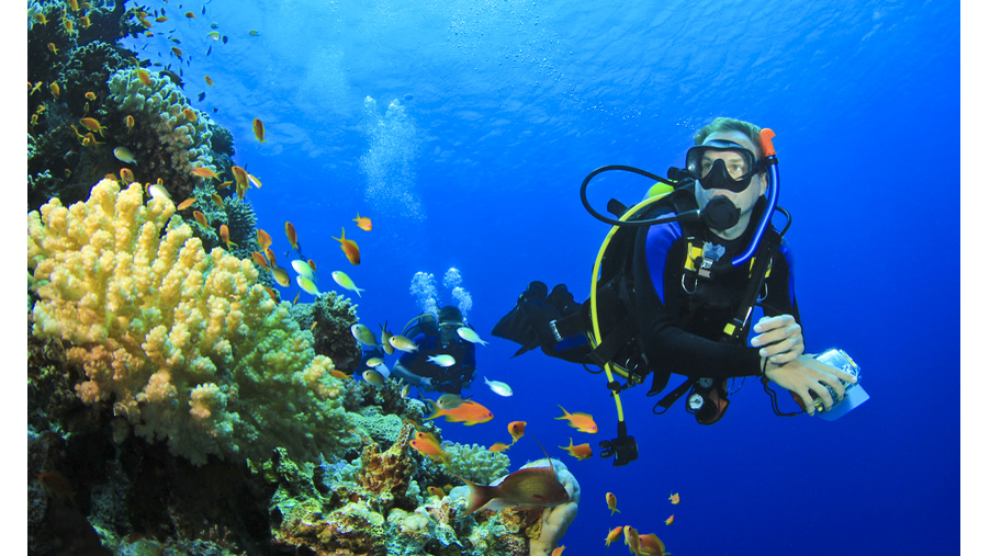 Taking the Plunge: Royal Caribbean Scuba Program is Unique and Fun