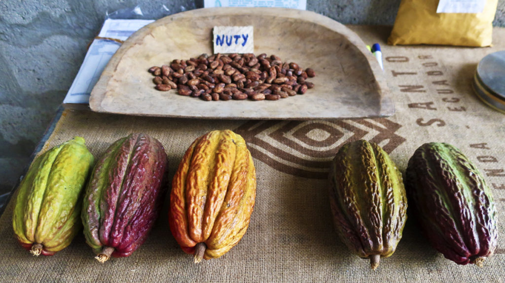 Flowers and Chocolate: Regent Tour Discovers the Sweet Spots of Ecuador ...